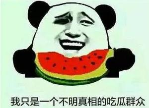 娱乐吃瓜名字怎么取的呀,揭秘“娱乐吃瓜”名字背后的趣味与智慧